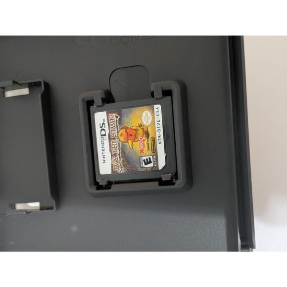 Ivy The Kiwi Nintendo DS COMPLETE CIB Authentic USA Version Tested - Picture 3 of 5